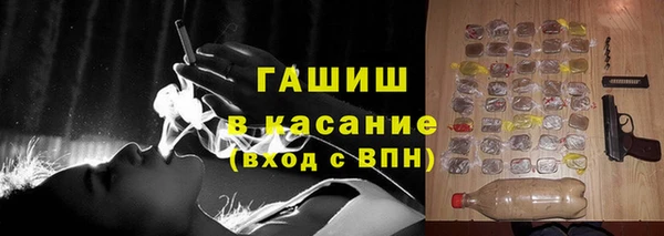 стаф Новозыбков
