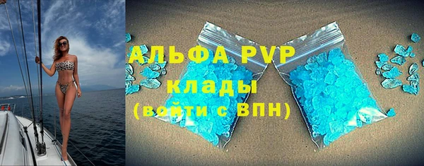 a pvp Гусев